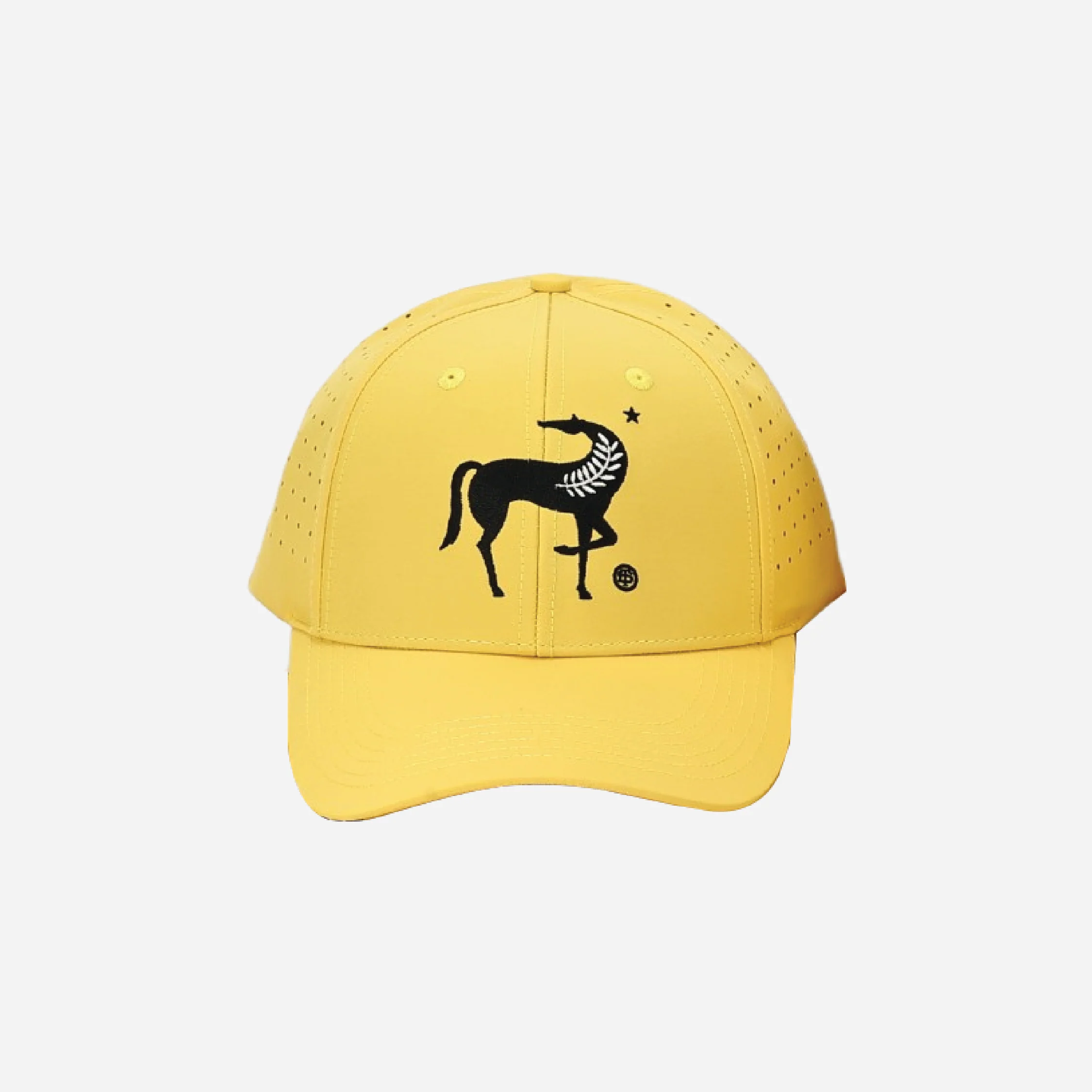 Terra Delyssa Logo Hat