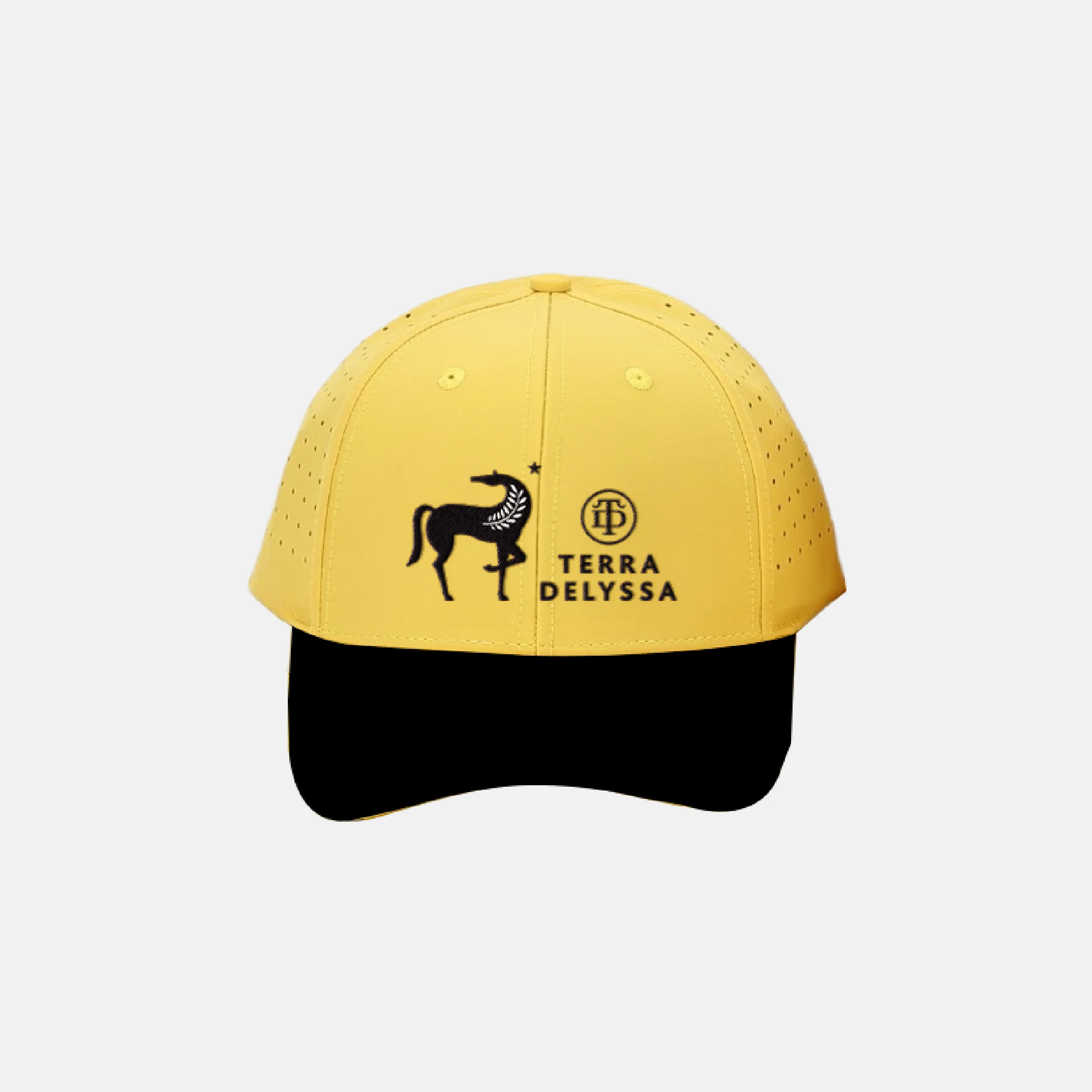 Terra Delyssa Logo Hat - Image 2